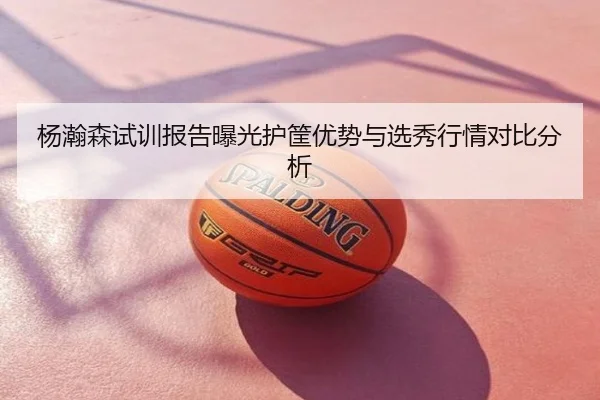杨瀚森试训报告曝光护筐优势与选秀行情对比分析