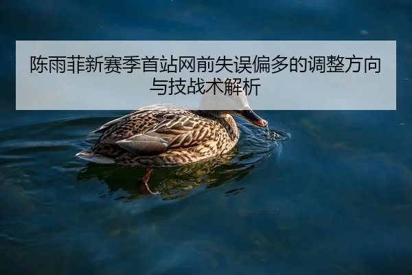 陈雨菲新赛季首站网前失误偏多的调整方向与技战术解析