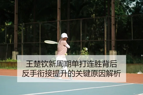 王楚钦新周期单打连胜背后 反手衔接提升的关键原因解析